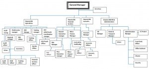 organogram
